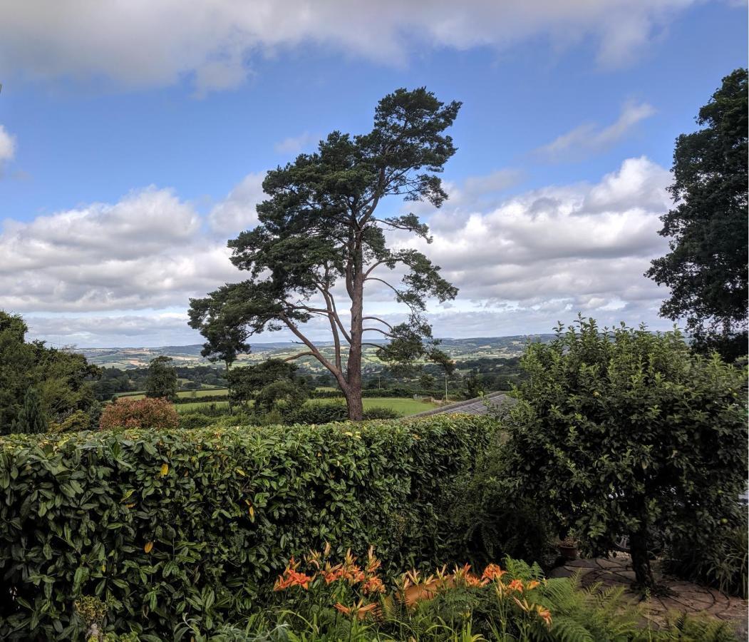 Cozy Snug Room, Short Drive To Lyme Regis, Crackling Fireplace, Private Balcony & Stunning Countryside Views, Free Private Parking & Wifi Axminster Eksteriør billede