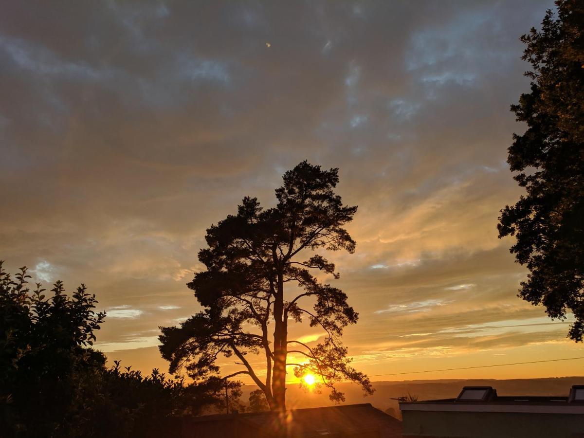 Cozy Snug Room, Short Drive To Lyme Regis, Crackling Fireplace, Private Balcony & Stunning Countryside Views, Free Private Parking & Wifi Axminster Eksteriør billede